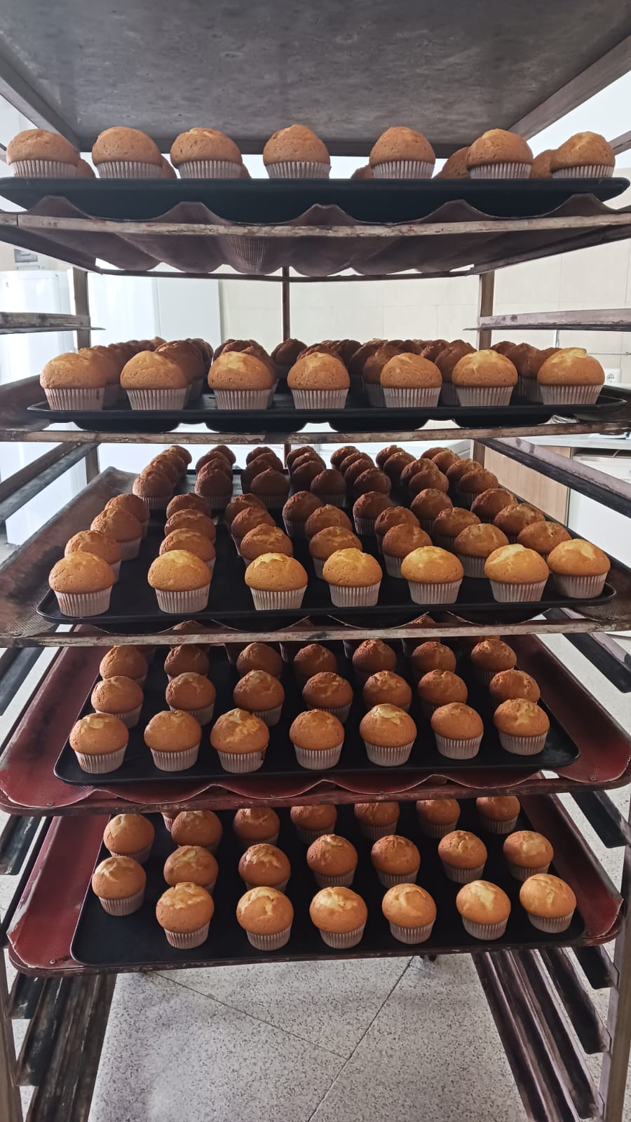 about-03 magdalenas recien sacadas 2